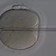 Illustration for article titled Are Sperm Banks in the Business of Eugenics?